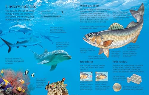 First Encyclopedia of Seas and Oceans