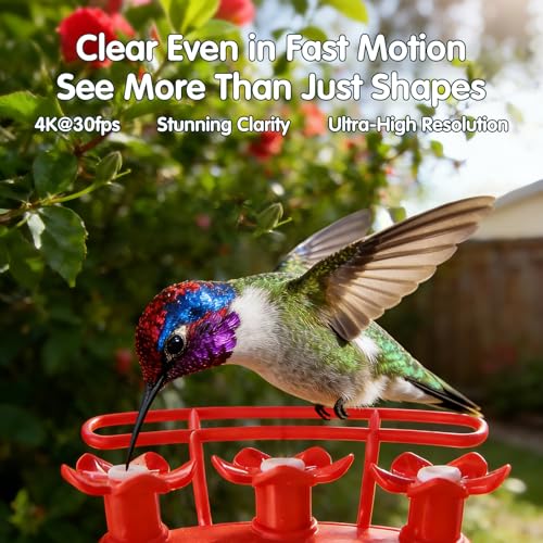 Humbirdy Hummingbird Feeder with Camera, 4K Ultra HD Video at 30fps, 10x Slow-Motion at 120fps,1.9in Closer Focus, No Subscription,Leak Proof, Ant Moat,Solar Powered, 2.4G&5G Wi-Fi,Bird Lover Gift