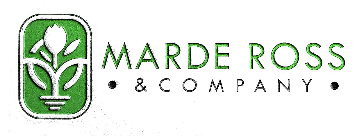 White French Peony Ranunculus - 12 Largest Size Corms, Premium Bulbs for Stunning White Blooms, Ideal for Garden Beds, Perfect for Spring Planting 2025, Elegant Peony-Like Flowers