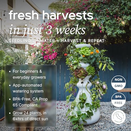 Farmstand Starter Kit + 24 Seedling Credit | Medium Hydroponic Growing System Kit | Self-Watering Outdoor Vertical Garden Planter Tower | 4ft 10in | Made in USA