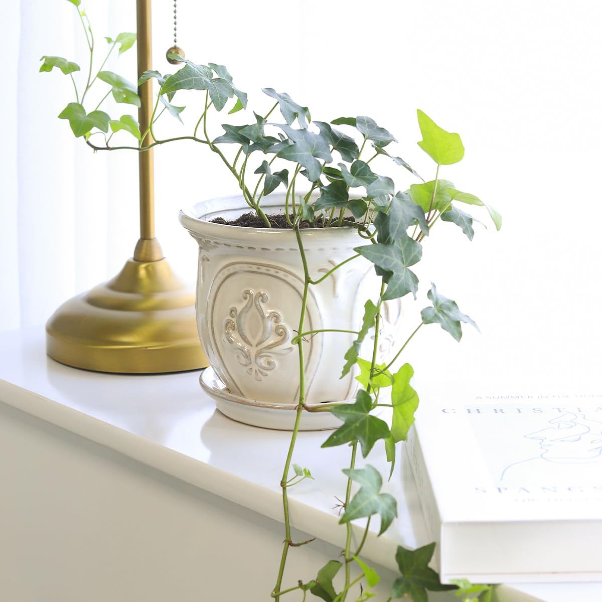 Green Ivy Plant - Heart-Shaped Green Leaves Houseplant for Home Decoration - Air Purifying, Easy to Grow Houseplant (Grower Pot, 4 inch)