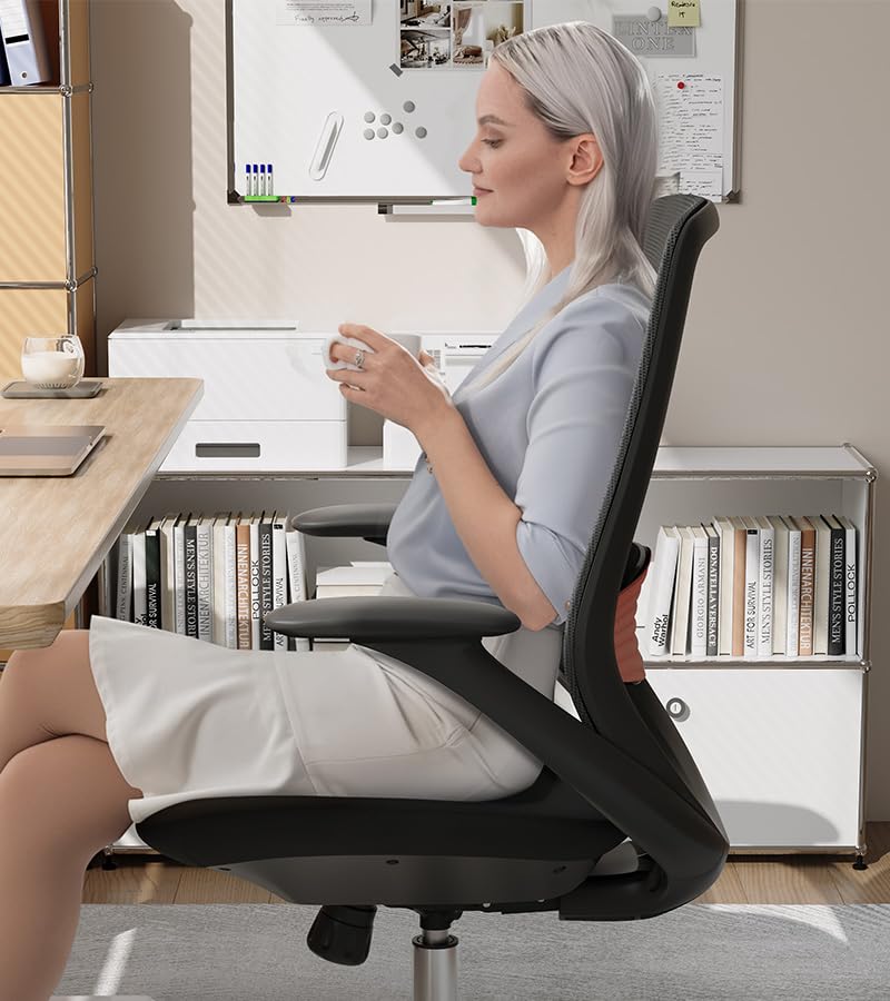 BERYTH Ergonomic Office Chair, High-Back Mesh Executive Chair with Lumbar Support & 360° Adjustable Arms, Reclining Desk Chair with Tilt Lock for Home Office, Gaming, and Work, 300lb Capacity (Black)