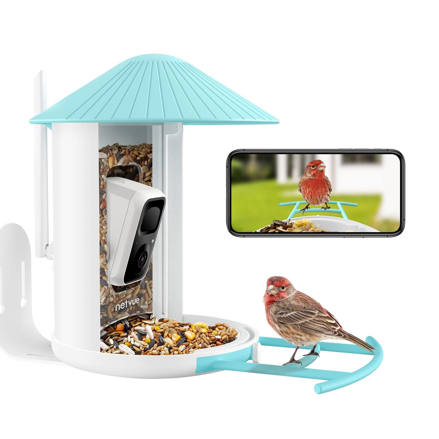 NETVUE Birdfy Camera with Birdfy Hummee Camera, Smart Bird Feeder with Camera, Auto Capture Bird Videos & Birdwatching Up-Close, 2in1 Feeders Attract More Hummingbirds, Ideal Gift