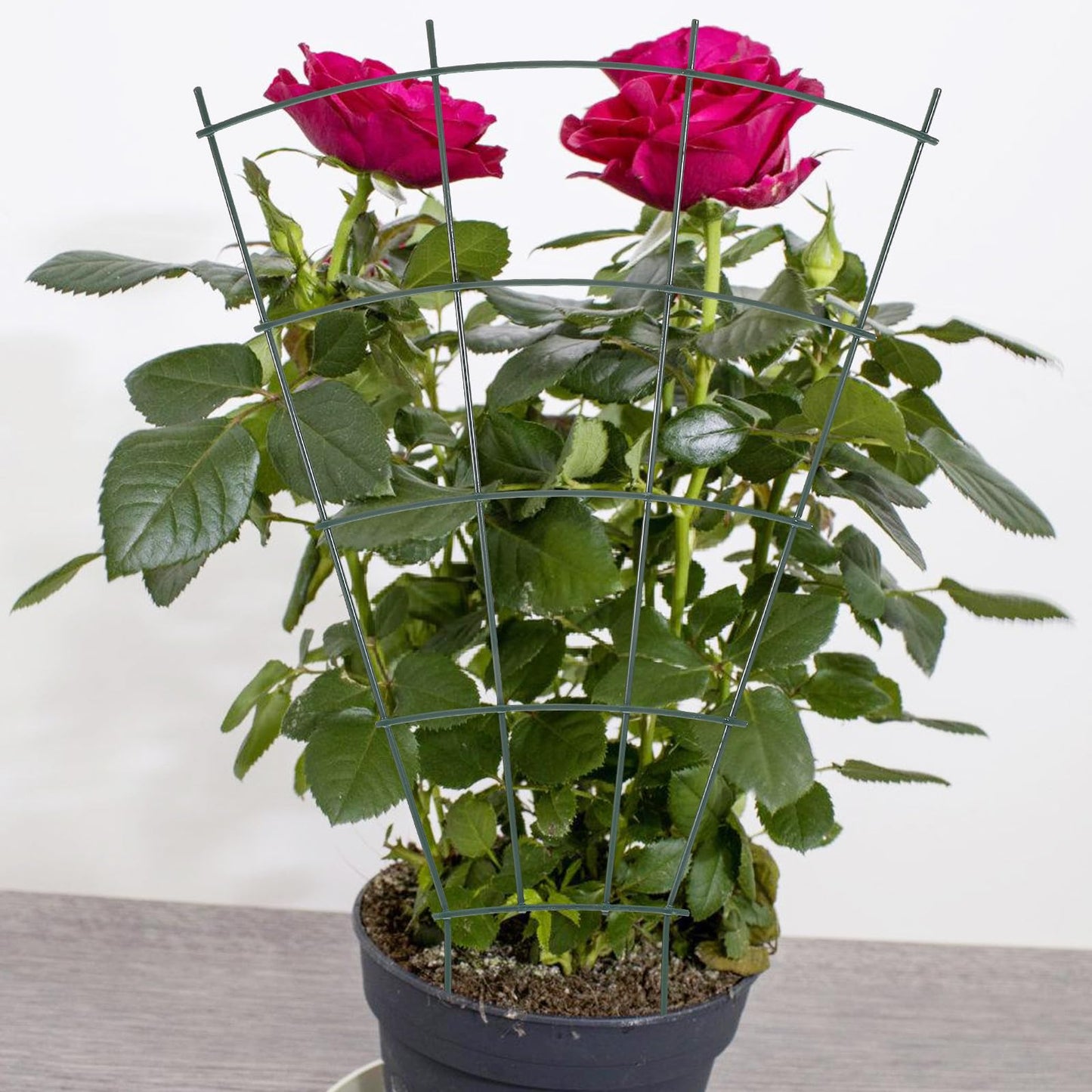NUOBESTY Metal Plant Trellis Vine Climbing Support Rack for Garden and Indoor Potted Plants with Sturdy Outdoor Metal Frame