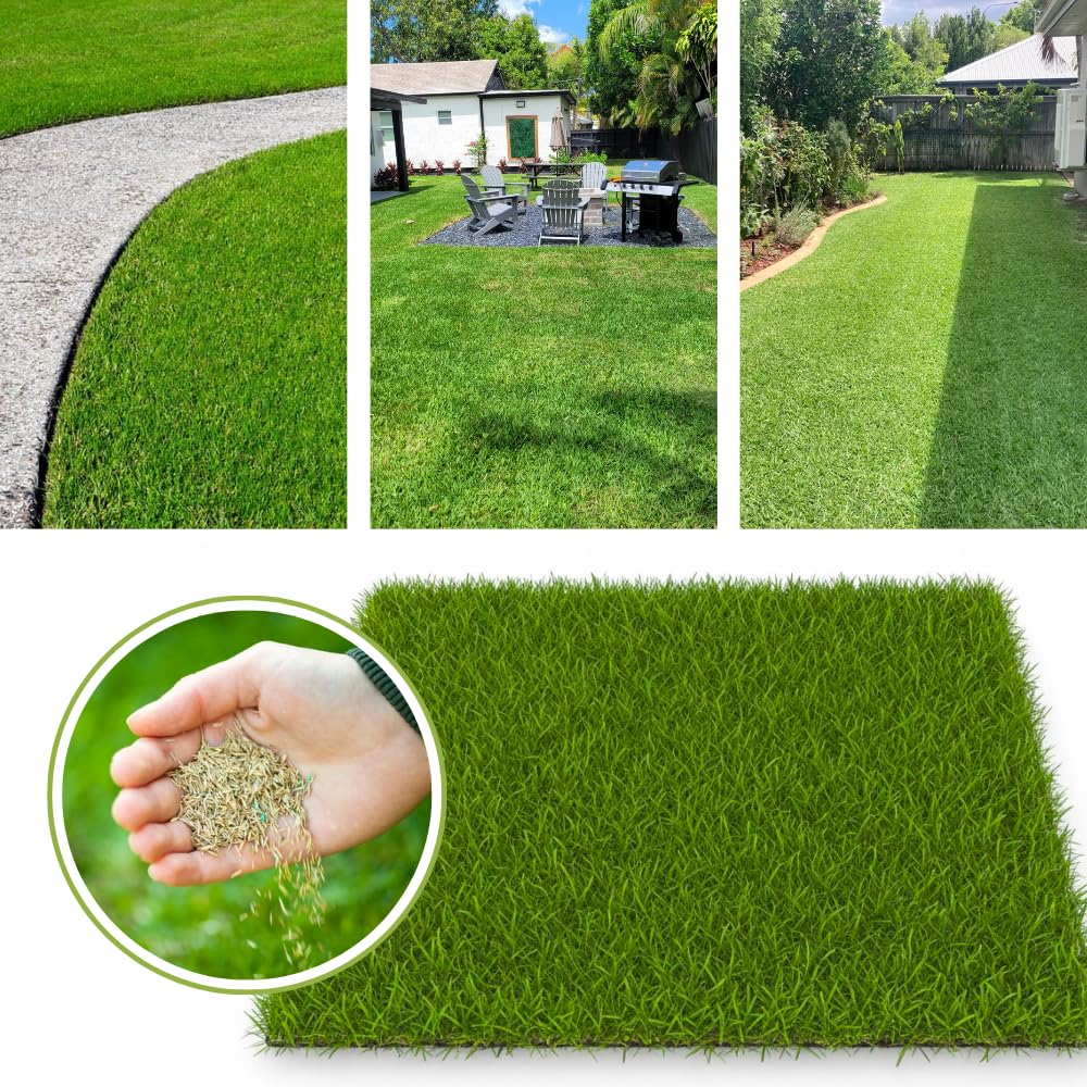 Zoysia Grass Seeds for Lawn, 20000 Seeds Count, Zoysia Seeds Lawngrass to Grow Backyard Home Garden