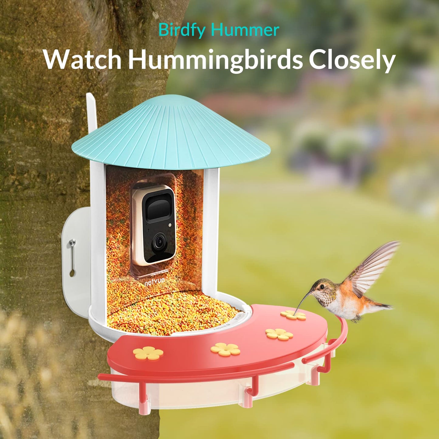 NETVUE by Birdfy Smart Bird Feeder with Camera with Hummingbird Feeder Perch, Attracting More Bird Species