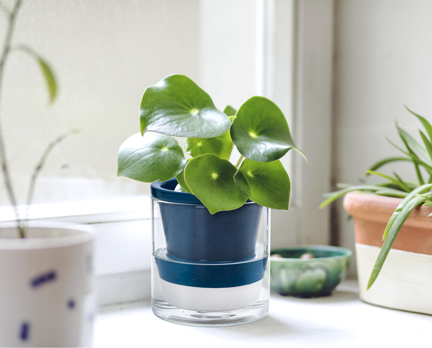 D'vine Dev 4 Inch Design Self Watering Planter for Indoor Plants, Blue Terracotta Pot with Cylinder Glass Cup, Set of 2, 37-Y-A-4