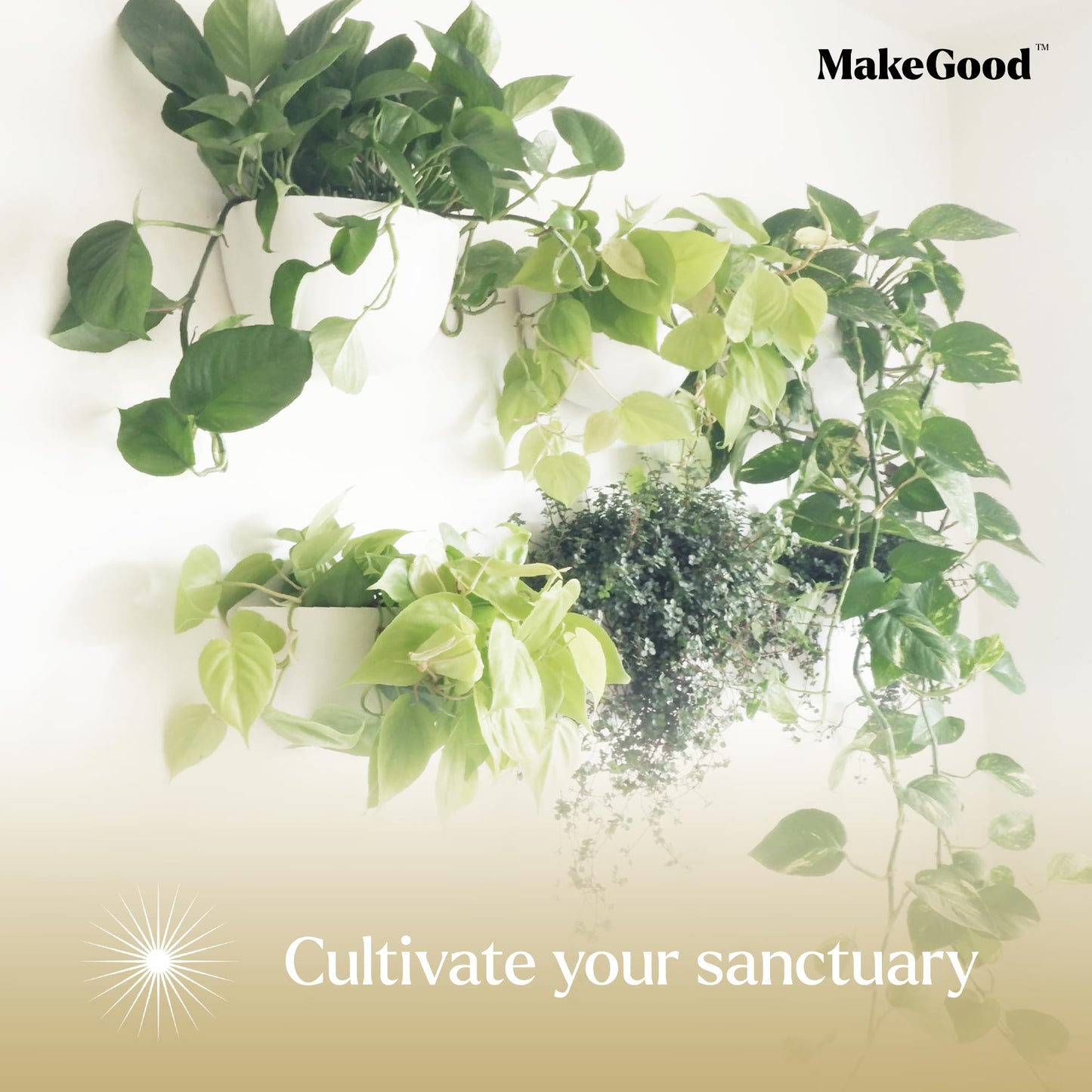 Make Good Virgo Wall Planters (Wide, Set of 6) - Easy to Water and Install - Lightweight - Design Your Own Vertical Garden - Melamine Plastic