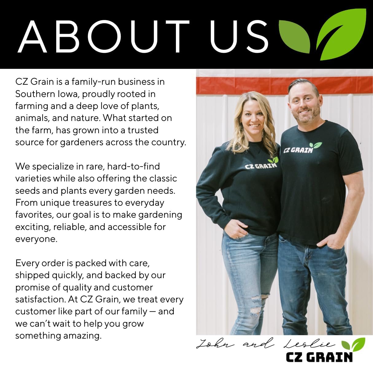 Dragon Heart Caladium Bulbs for Planting - Perennial Hosta, Elephant Ears, Fancy (6 Bulbs)