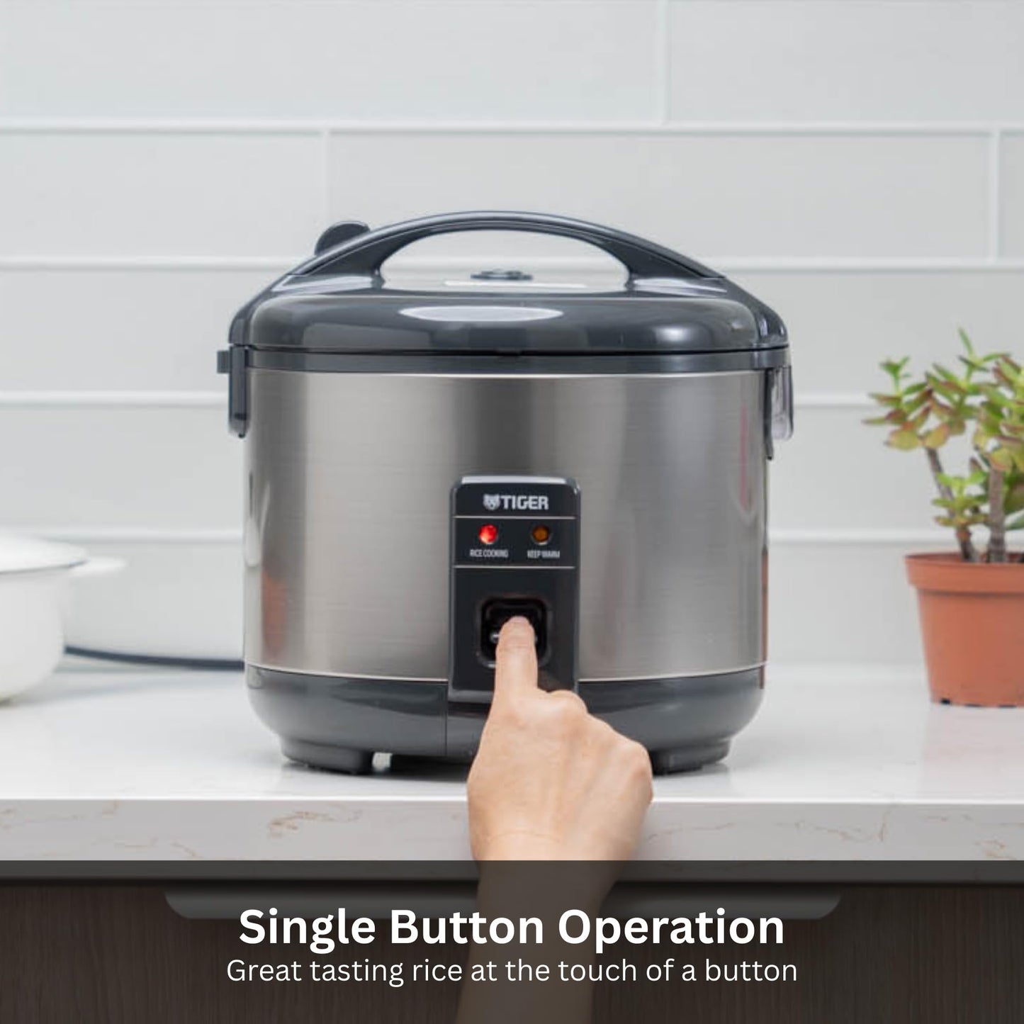 Tiger JNP-S55U-US 3 Cup Capacity White Rice Cooker with Non-Stick Inner Pot, Retractable Power Cord, and Keep Warm up to 12 hours (Urban Satin)