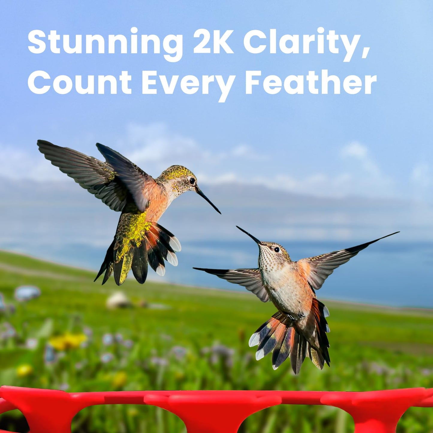Birdfy Hummingbird Feeder with Dual Cameras AI Identify - 2K HD Smart Cameras, Close-Up Bird Video/Live Watching & Instant Notifications, Ant Moat & Leakproof - 20oz (Lifetime AI)