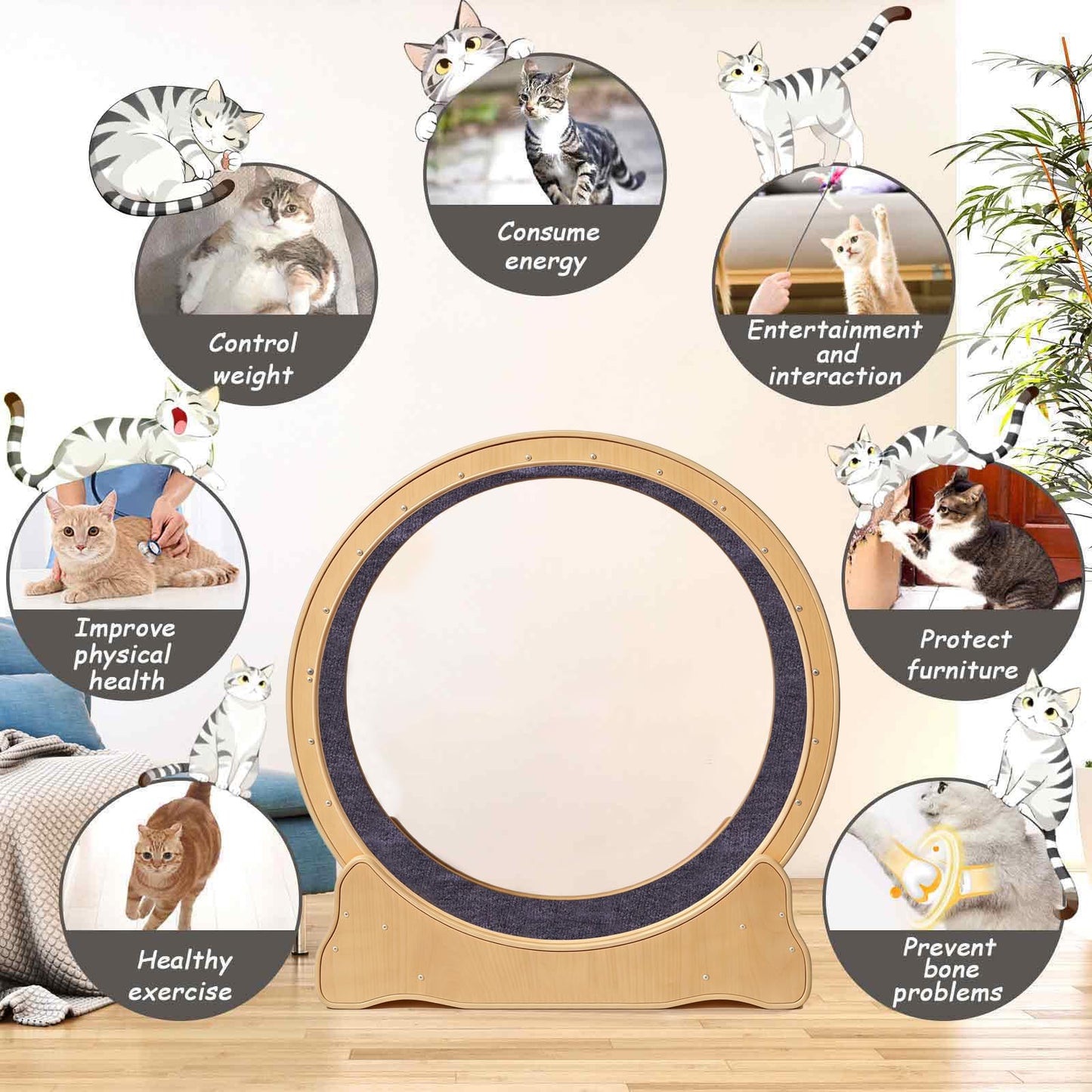 ZooVibe Cat Exercise Wheel Large - 35.4'' Wooden Treadmill for Indoor Cats with Low Noise, Safety Lock, Detachable Carpet & Eco-Friendly Design for Fitness, Weight Loss and Entertainment