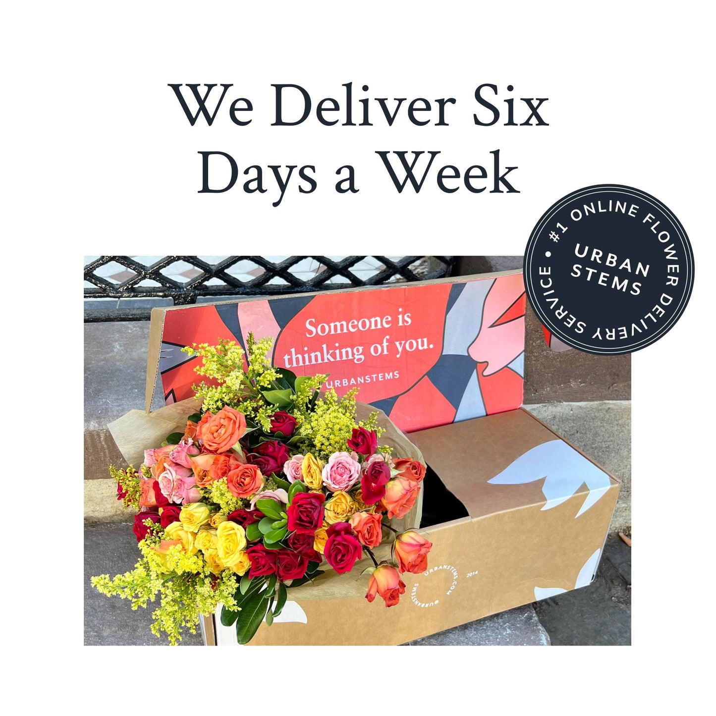 UrbanStems – The Parasol Bouquet (No Vase) – Fresh Flowers for Delivery – Birthday, Thank You, or Congratulations