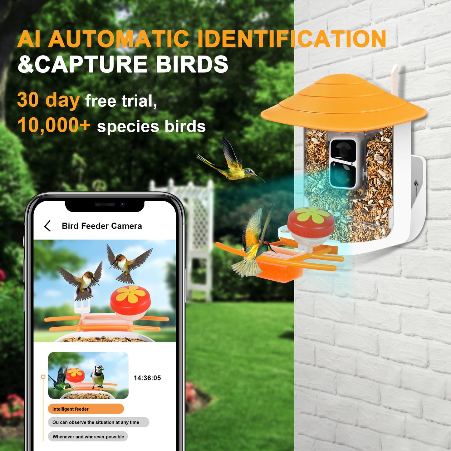 LyteSolar Bird Feeder with Camera,1080P HD,160° Wide Angle,AI Recognition, 1.8L Capacity 32G SD Card, Solar Powered, 50Pcs DIY Bird Stickers for Outdoor Garden