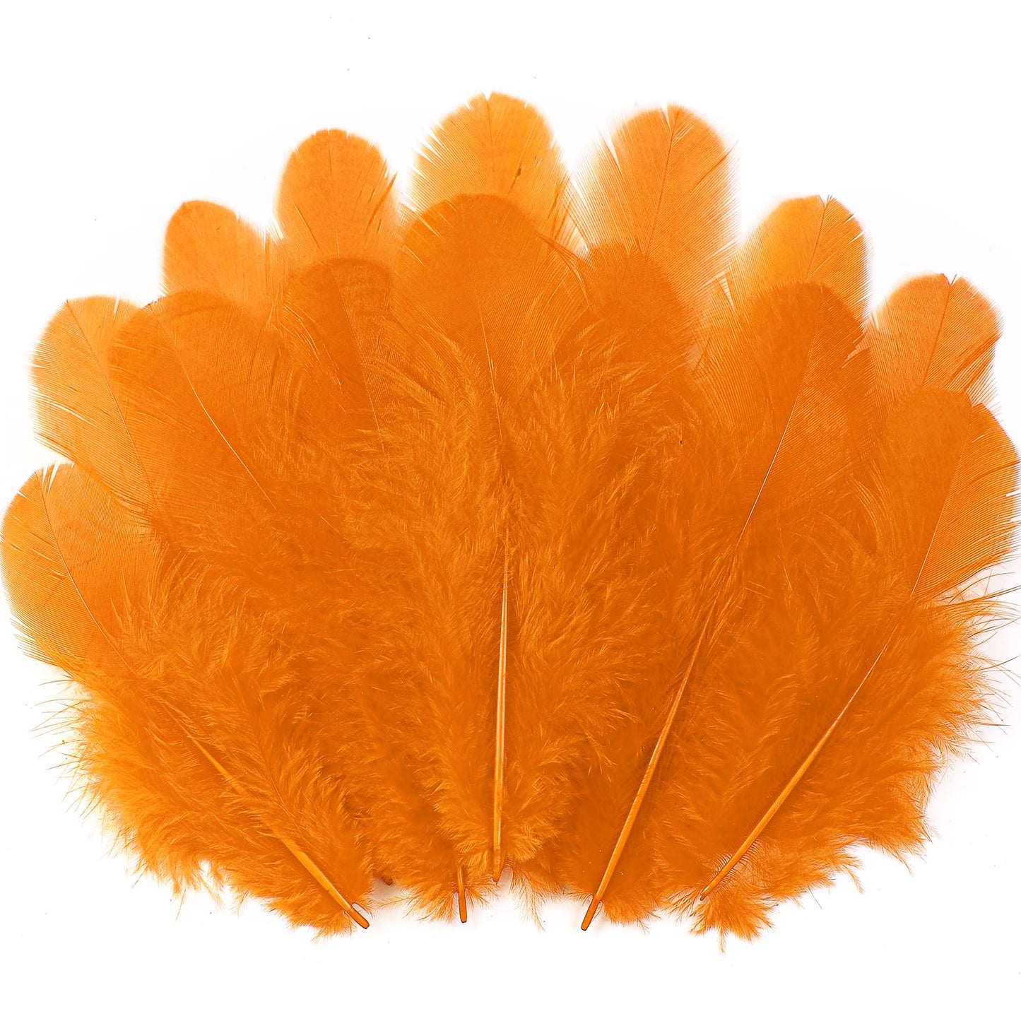 Soarer Colorful Craft Rooster Feathers - 300pcs 3-5inch Colored Feathers Bulk for Kindergarten DIY Crafts,Wedding Home Party Decorations,Dream Catcher Supplies(Rooster Colorful)