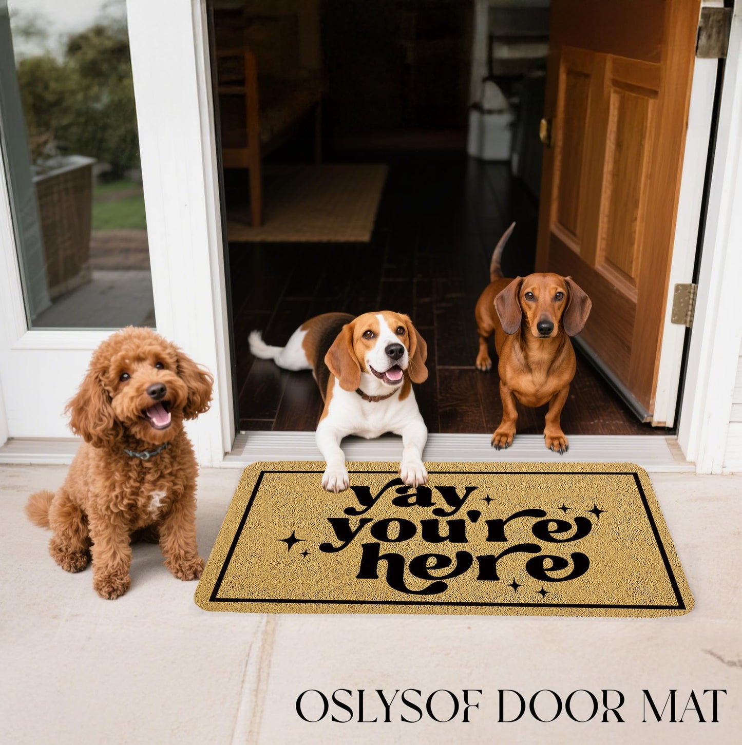 OSLYSOF Funny Welcome Door Mat, Yay You're Here Doormat for Front Door Indoor Outdoor Porch Entrance Entryway, Funny Welcome Mat Outside, 17x30 Inches