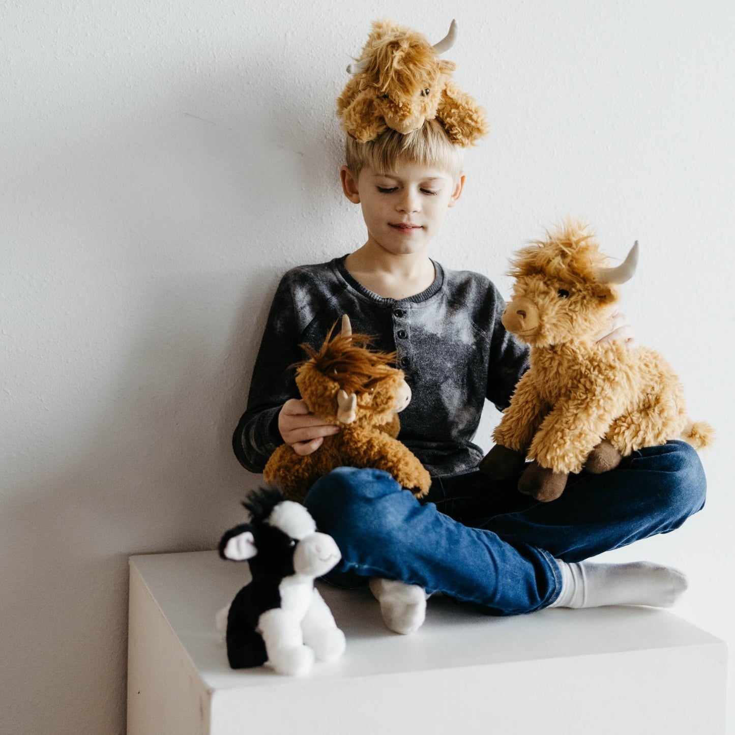 The Petting Zoo Highland Cow Plushie Stuffed Animal, Gifts for Kids, Wild Onez Wildlife Animals, Cow Plush Toy, 9 inches