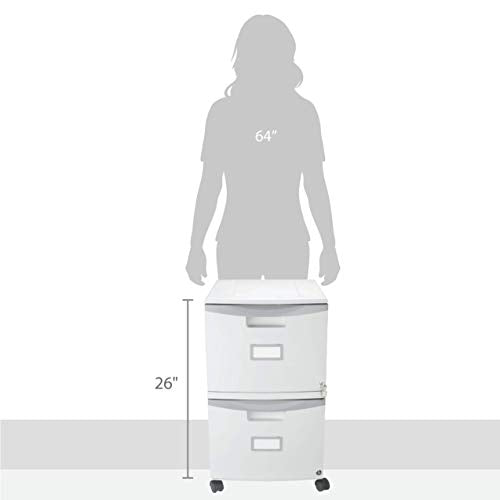 Storex Two-Drawer Mobile File Cabinet with Lock, 14.8 x 18 x 26-Inch, Gray (61301B01C)