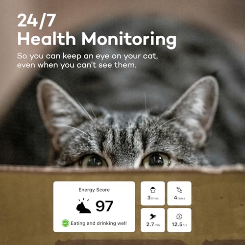 Catlog Health Tracker for Cats - Smart Cat Collar with Safety Breakaway Buckle for Indoor Cats, Wellness Alerts, Real-time Monitoring (Yellow, M)