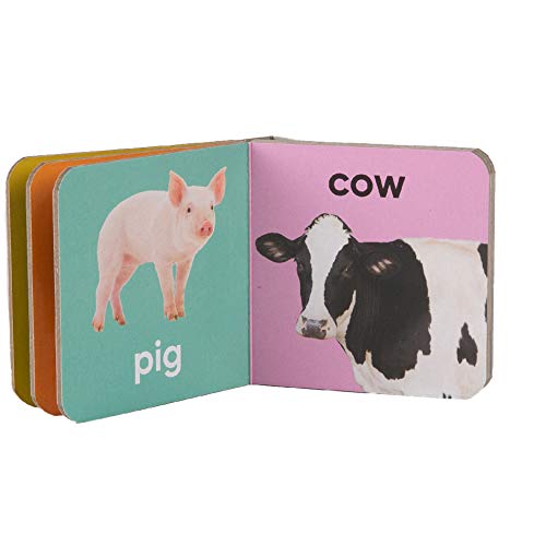 My Little Library: Early Learning - First Words (12 Board Books)
