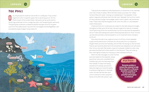 Ocean Activities for Kids: 20 Hands-On Projects to Explore the Sea (Science Scouts)