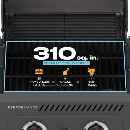 Charbroil Performance Series 2-Burner Gas Grill Cabinet, Stainless Steel - 463638125