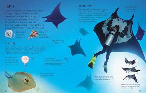 First Encyclopedia of Seas and Oceans