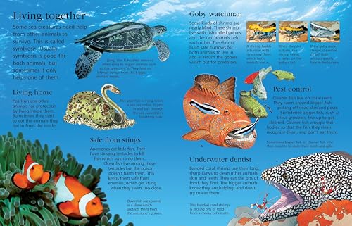 First Encyclopedia of Seas and Oceans