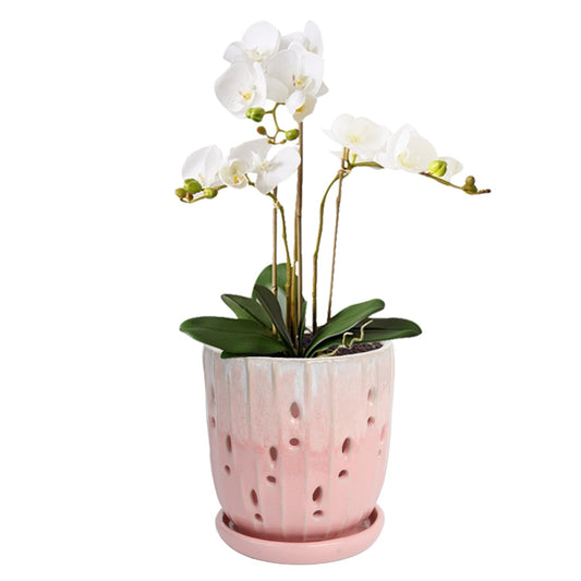 vensovo 6 Inch Ceramic Orchid Pot - Orchid Pot with Holes for Repotting, Ceramic Planter with Saucer for Indoor/Outdoor Plants, Pink