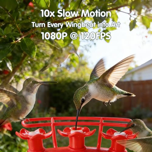 Humbirdy Hummingbird Feeder with Camera, 4K Ultra HD Video at 30fps, 10x Slow-Motion at 120fps,1.9in Closer Focus, No Subscription,Leak Proof, Ant Moat,Solar Powered, 2.4G&5G Wi-Fi,Bird Lover Gift