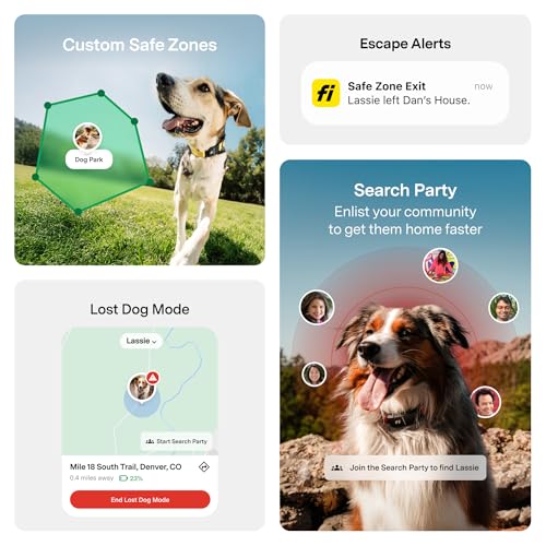 Fi New Series 3+ Smart Dog Tracker Collar [12 Month Membership Included] GPS Tracker for Dogs with Health & Behavior Monitoring, Escape Alerts, Waterproof, LED, Apple Watch Compatible (Gray, Medium)