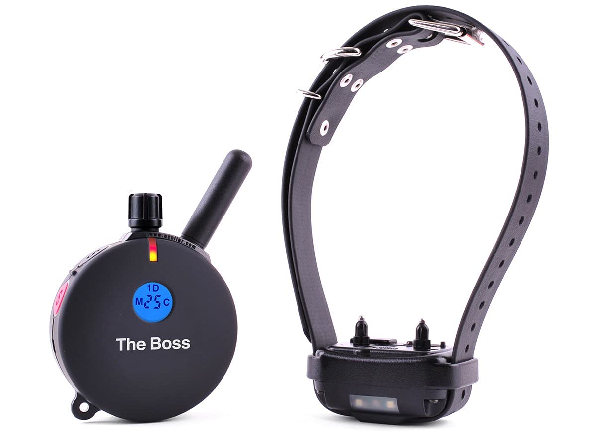 Educator ET-800 The Boss E Collar for Dog Training with Remote - 1 Mile Range, Waterproof, 100 Blunt Stimulation Levels, Tone or Vibration Mode, Night Light Tracking for Small, Medium & Large Dogs