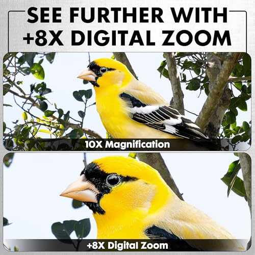 Minolta 10x25 Digital Night Vision Monocular w/Built-in 4K HD Video Camera (Green)