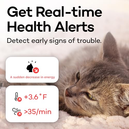 Catlog Health Tracker for Cats - Smart Cat Collar with Safety Breakaway Buckle for Indoor Cats, Wellness Alerts, Real-time Monitoring (Kimono (Sakura -Night-),XL)