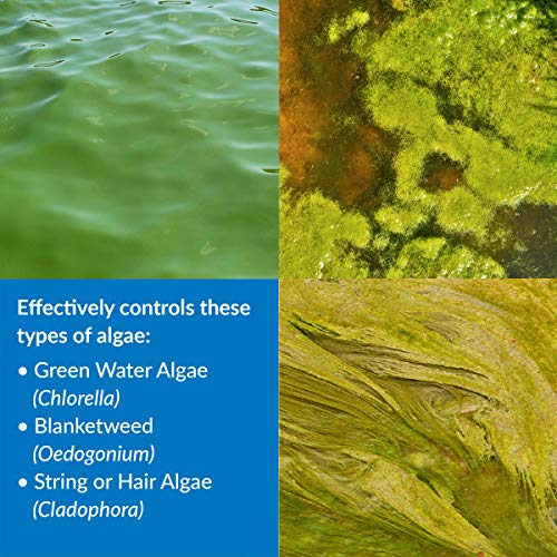 API POND ALGAEFIX Algae control 2.5-Gallon Bottle