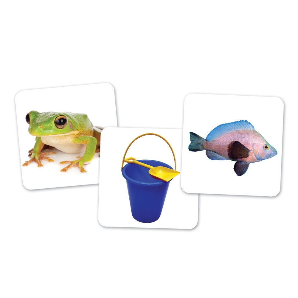 Learning Resources Vowel Owls Sorting Set - Phonics Games for Kids, Vowel Sounds, Toddlers Vocabulary Building, ABC Word Game, Reading skills Toys, Learn to Read, Gifts for Boys and Girls