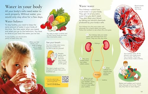 Usborne Children's Encyclopedia: An Illustrated introduction to History, Nature, and More for Home Learning. Full of Photographs, Diagrams, Maps and 150 Links