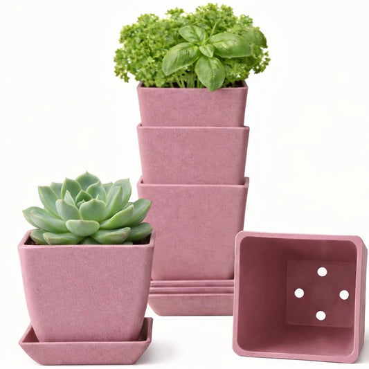 3.5 Inch Small Planter Pots with Drainage Holes and Saucers, Matte Square Indoor Plant Pots for Succulents and Herbs, Lightweight Modern Planters for Kitchen Herb Garden, Windowsill or Desk 5 Pack