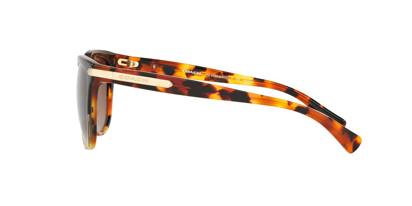 COACH HC8132 Sunglasses, Black Tortoise Gradient/Brown Gradient Polarized, 57 mm