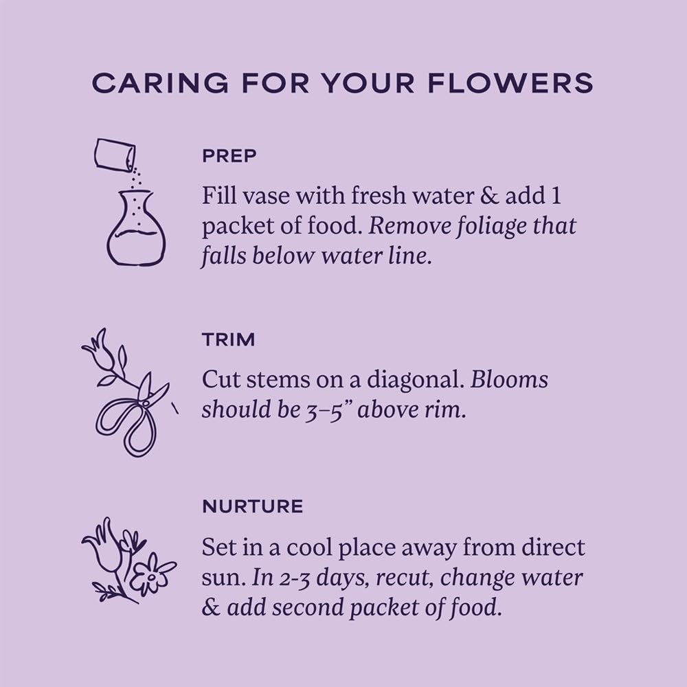 1800 Flowers – Cherished Blooms Double Bouquet (Bouquet Only) | Fresh Cut Spring Flowers for Delivery | Gift for Mother's Day, Anniversary, Sympathy, and Special Occasions