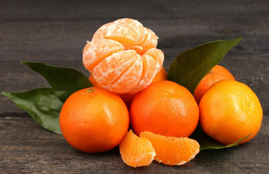 2 Clementine Mandarin Trees - 2-5 Inch Tall Live Plants - Potted Orange Fruit Seedlings - Citrus x Clementina - (2 Pack)