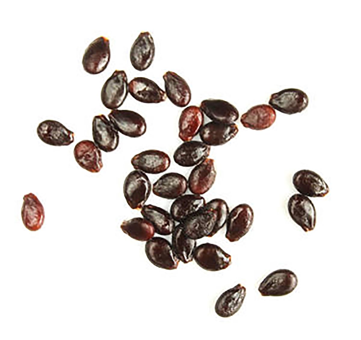 Delicious: Tendersweet Orange Watermelon Seeds - Produces Watermelons up to 15-30 Pounds!…