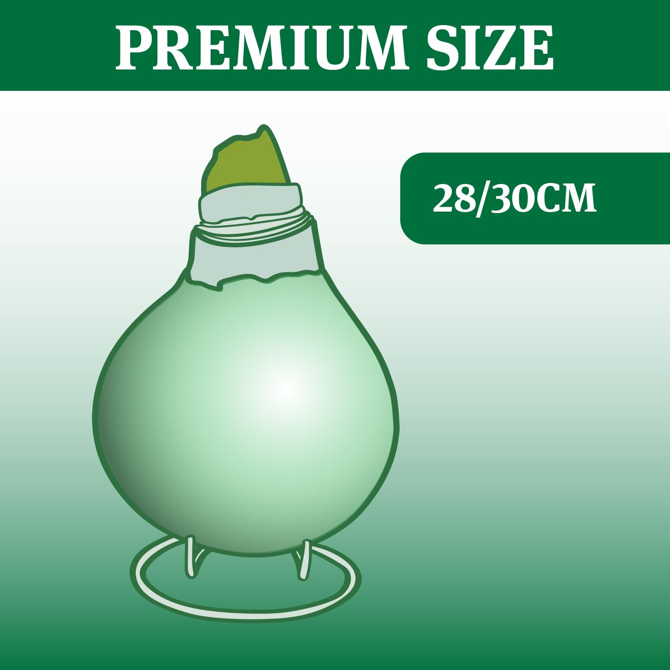 Pink Petals Waxed Amaryllis Flower Bulb with Stand, Grow Real Blooming Indoor Spring Flowers, No Water Needed