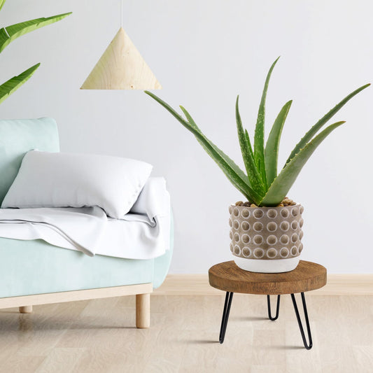Plant Stand Indoor Outdoor, Wooden plant Stool, Mid Century Plant Stand for Indoor Plants, Wood Modern Plant Holder Rattan Flower, Low Short Boho Rustic Planter Stand Fit 5-15 Inch Pot(M, L)