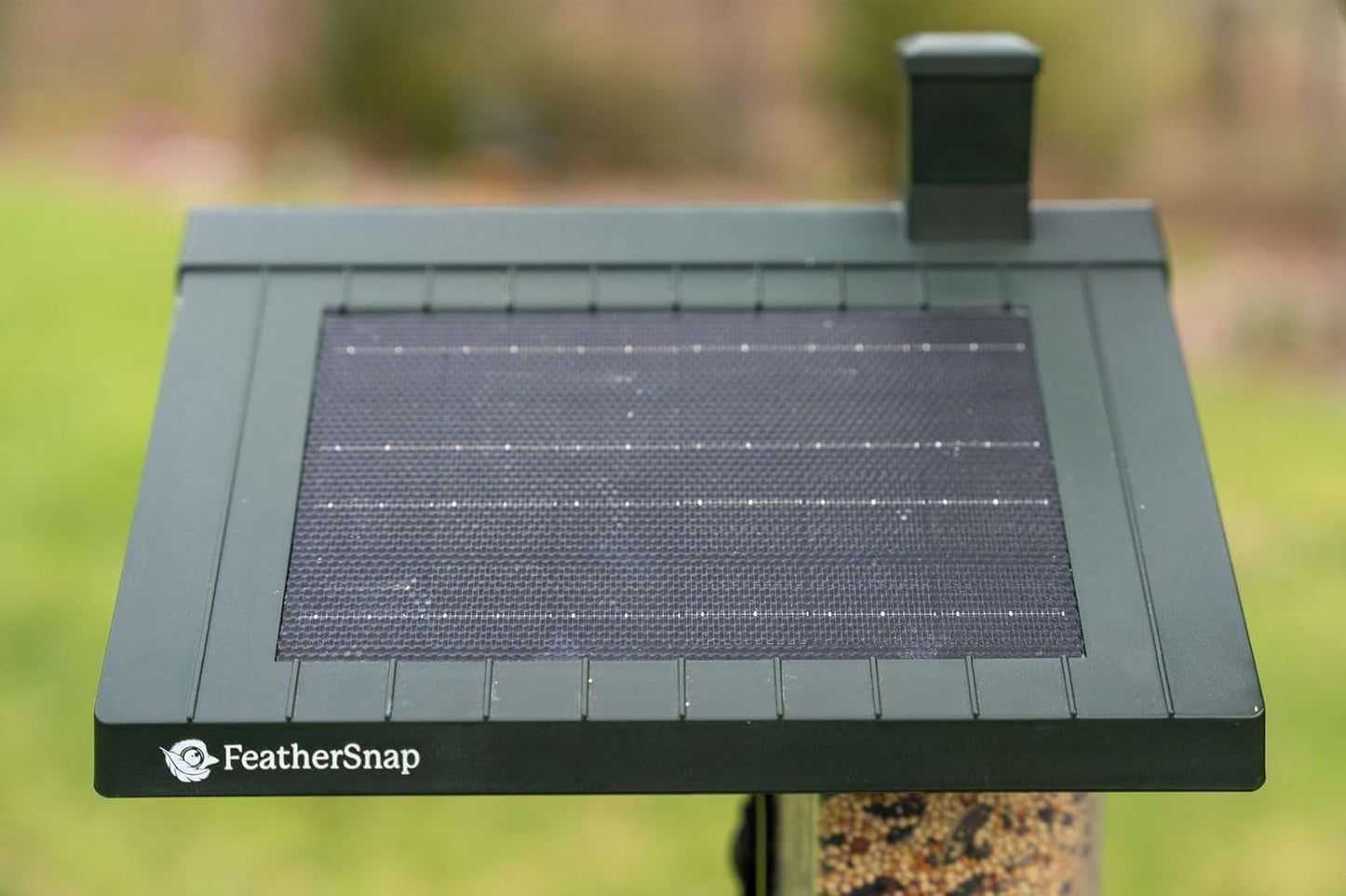 Feathersnap Smart Bird Feeder with AI Identification & HD Camera – Solar-Powered Wi-Fi Feeder Sends Photos & Videos to Your Phone – Includes Pole Mount, Bird Seed, 32GB SD Card, & Cleaning Cloth
