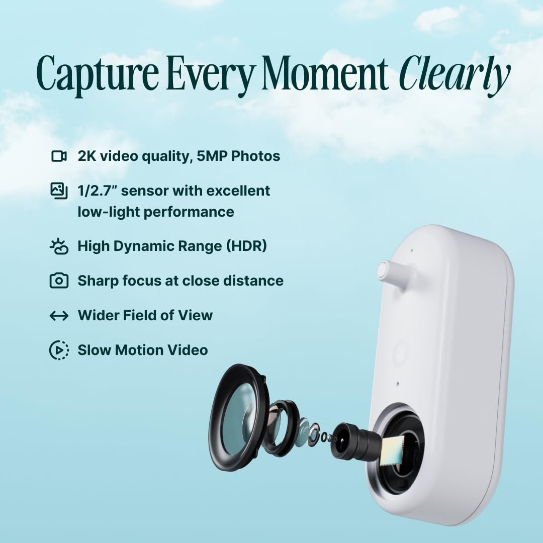 Birdbuddy Smart Non-Solar Pro Hummingbird Feeder with Camera - AI Bird Identification, 2K Video, 5MP Photos, Outdoor Hanging, Gift for Bird Watching