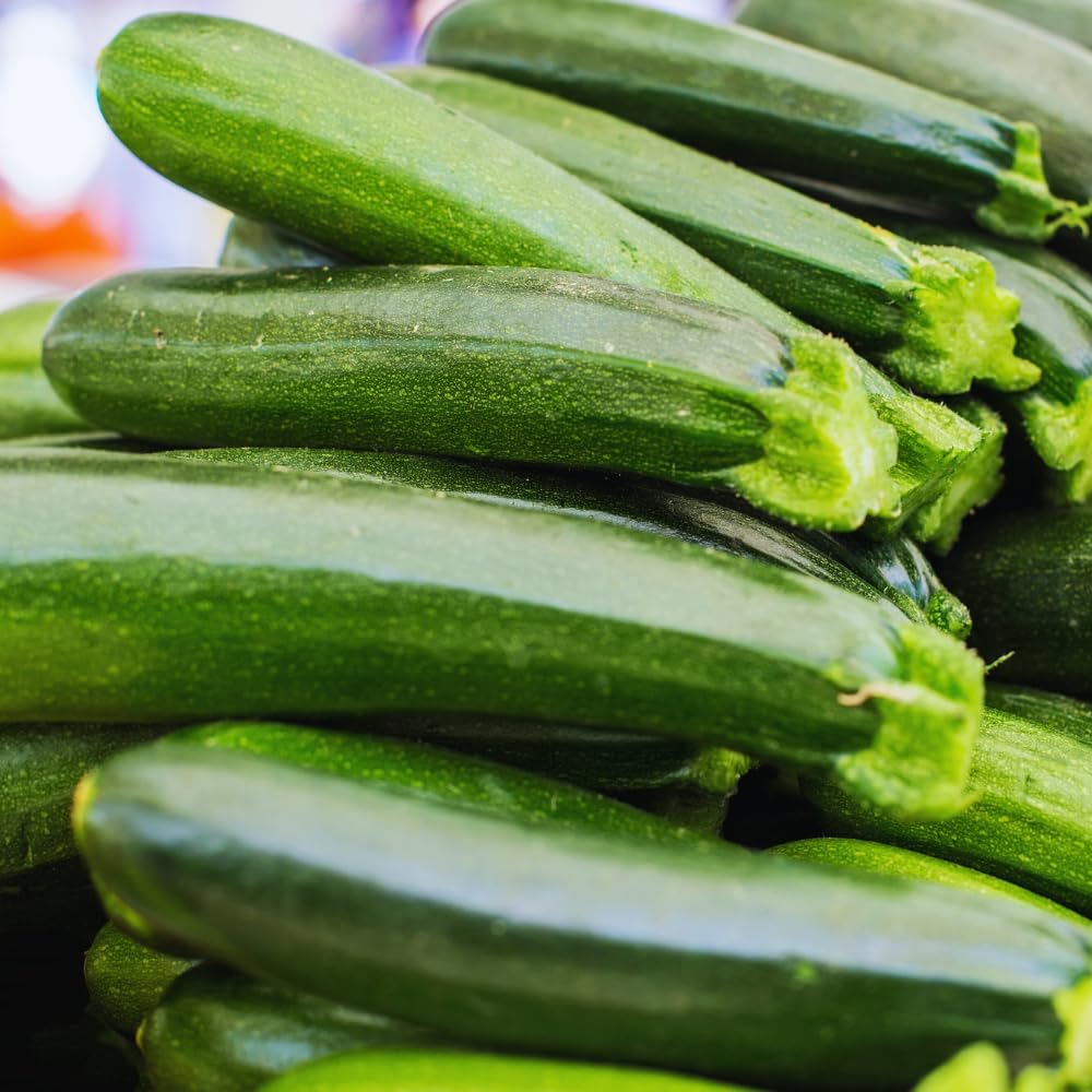 2 Live Squash Plants, 5 to 7 Inch Tall Green Squash Plants Live in 4 Inch Pot, Green Squash Zucchini Plants Seedlings,