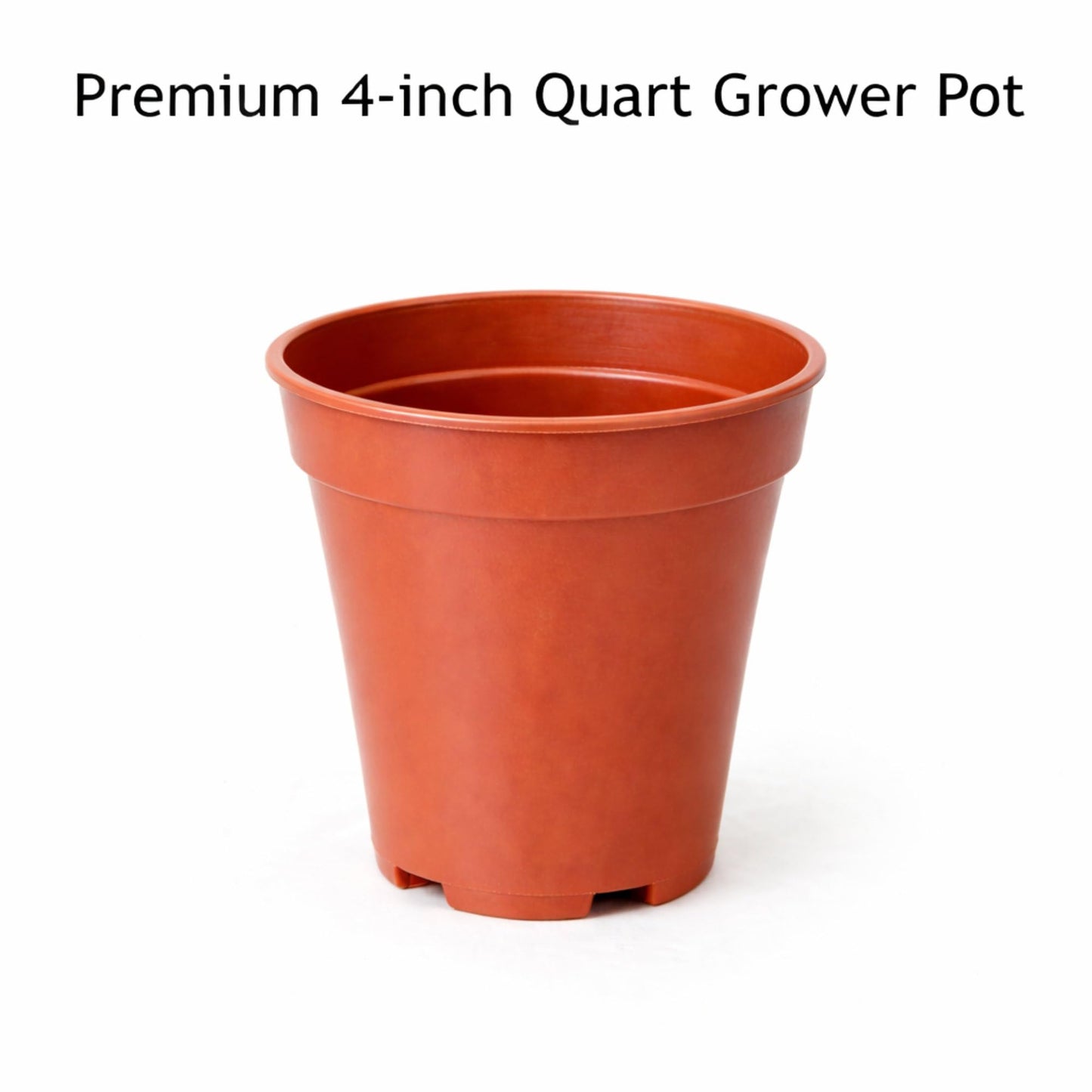 Easy to Grow Spider Plant Variegated 1 Full Size Potted Plant - Large Established Houseplant in 4" Quart Pot - Indoor Outdoor, Low Maintenance, Air-Purifying (Not Starter Plug)