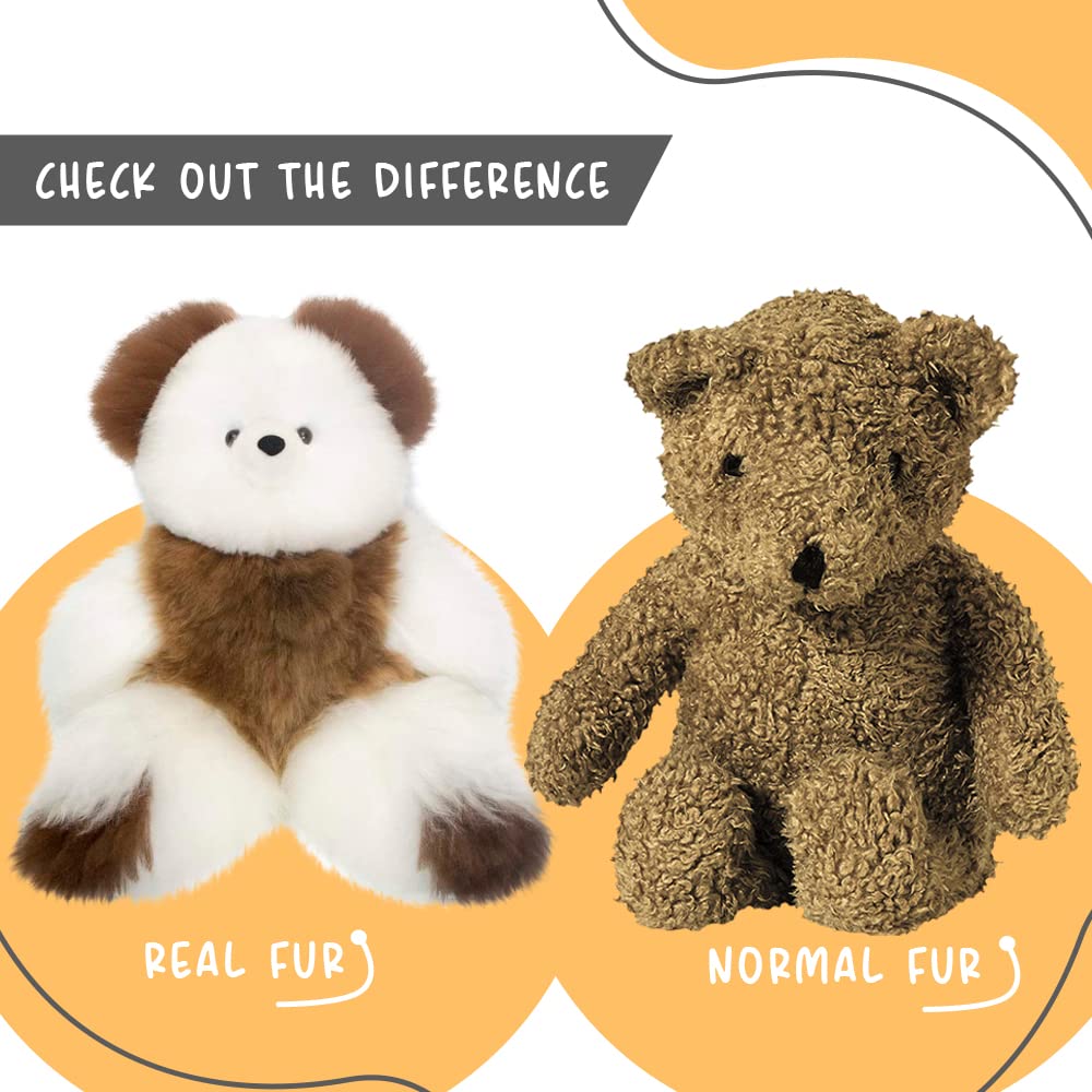 AlpacaNext Soft and Cuddly Baby Alpaca Teddy Bear - 9 inch. Premium Alpaca Stuffed Animal Handmade on Genuine Alpaka Fur. Cute Bear (9 inches, White & Brown)