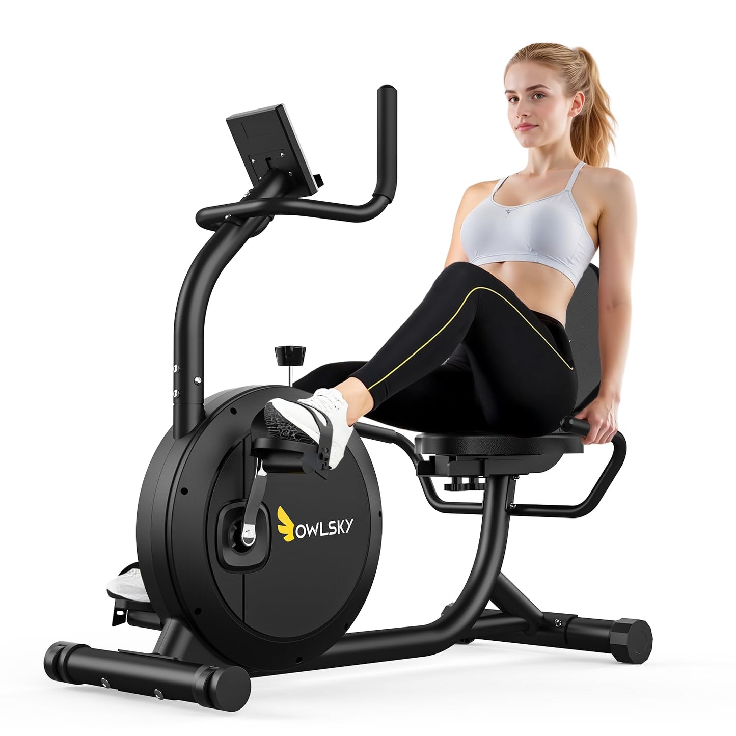 OWLSKY Recumbent Exercise Bike for Home Gym, Magnetic Stationary Bike with 16-Level Resistance, Quiet 15LBS Flywheel, 300LBS Capacity, Low-Impact Cardio & Physical Therapy